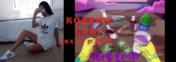 дмт Осинники