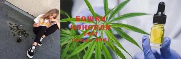 дмт Осинники