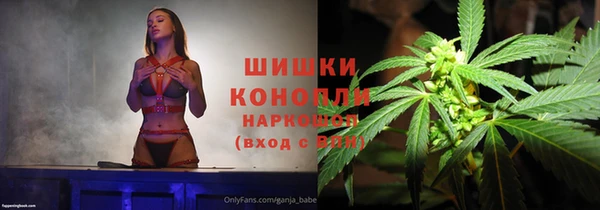 дмт Осинники