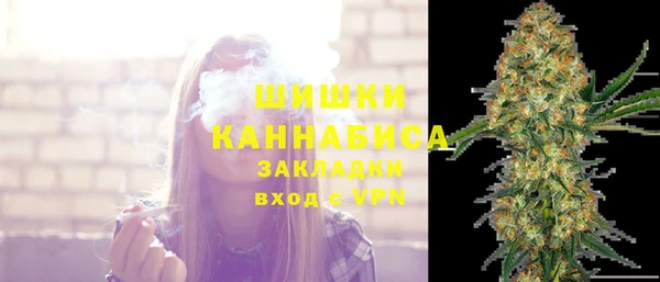 дмт Осинники