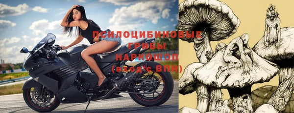 дмт Осинники