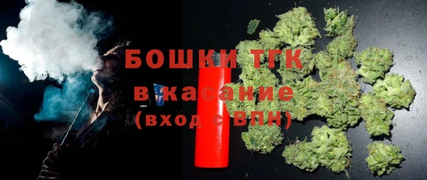 дмт Осинники